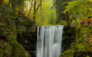 Preview wallpaper waterfall, water, moss, leaves, plants