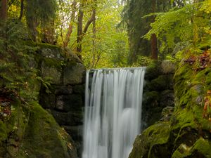 Preview wallpaper waterfall, water, moss, leaves, plants