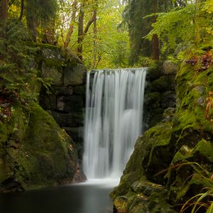 Preview wallpaper waterfall, water, moss, leaves, plants