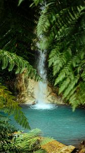 Preview wallpaper waterfall, water, palm trees, tropics, summer