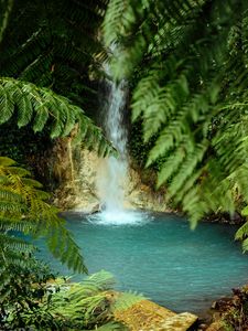 Preview wallpaper waterfall, water, palm trees, tropics, summer