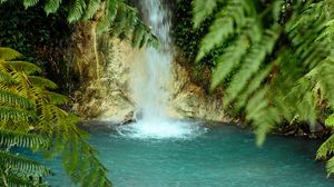 Preview wallpaper waterfall, water, palm trees, tropics, summer