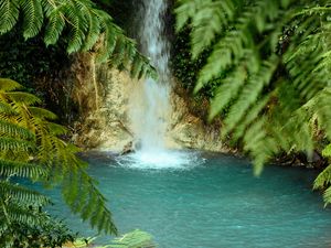 Preview wallpaper waterfall, water, palm trees, tropics, summer