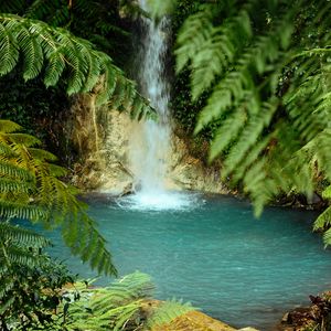 Preview wallpaper waterfall, water, palm trees, tropics, summer