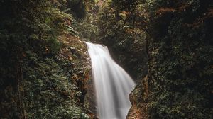 Preview wallpaper waterfall, water, plants, leaves, nature
