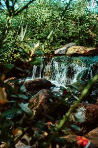 Preview wallpaper waterfall, water, stones, river, bushes