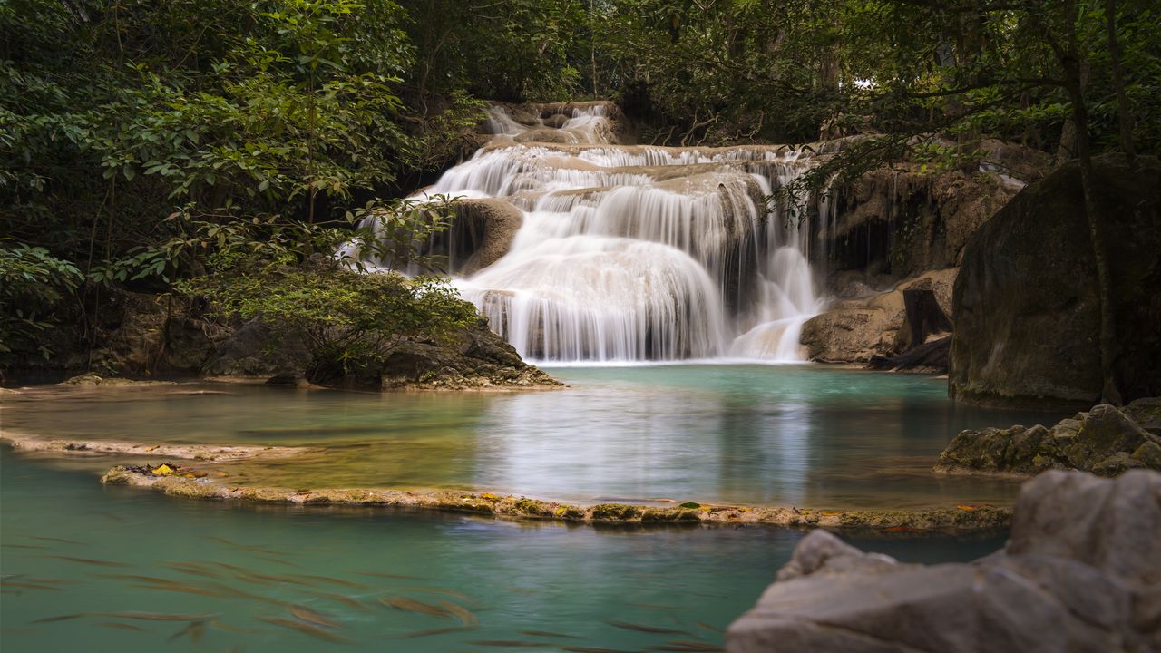 Wallpaper waterfall, water, stones, branches, trees
