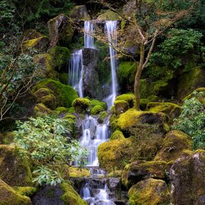 Preview wallpaper waterfall, water, stones, moss, trees, nature