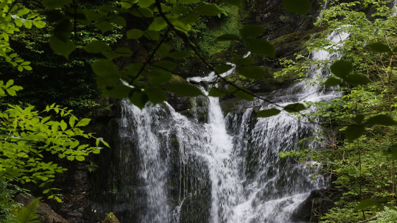 Wallpaper waterfall, water, stones, leaves, nature, landscape