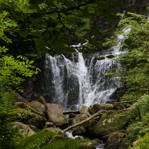 Preview wallpaper waterfall, water, stones, leaves, nature, landscape