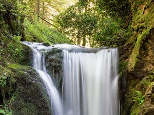 Preview wallpaper waterfall, water, stones, moss, trees
