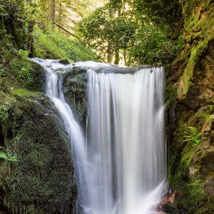 Preview wallpaper waterfall, water, stones, moss, trees