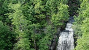 Preview wallpaper waterfall, water, trees, forest, nature