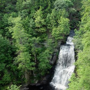Preview wallpaper waterfall, water, trees, forest, nature