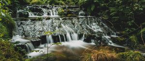Preview wallpaper waterfalls, cascade, trees, water