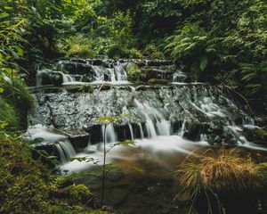 Preview wallpaper waterfalls, cascade, trees, water