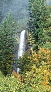 Preview wallpaper waterfalls, trees, greenery, fall