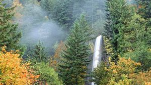 Preview wallpaper waterfalls, trees, greenery, fall