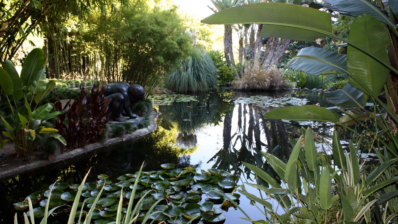 Wallpaper water-lilies, pond, statue, leaves, vegetation