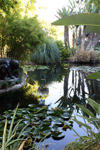 Preview wallpaper water-lilies, pond, statue, leaves, vegetation