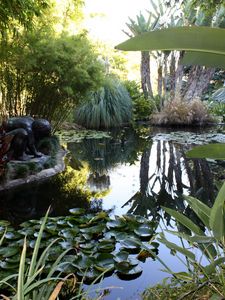 Preview wallpaper water-lilies, pond, statue, leaves, vegetation