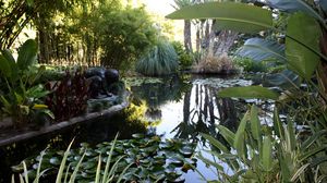 Preview wallpaper water-lilies, pond, statue, leaves, vegetation