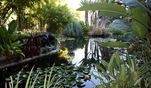 Preview wallpaper water-lilies, pond, statue, leaves, vegetation