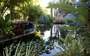 Preview wallpaper water-lilies, pond, statue, leaves, vegetation