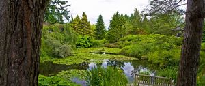 Preview wallpaper water-lilies, pond, trees, trunks, cloudy, bench