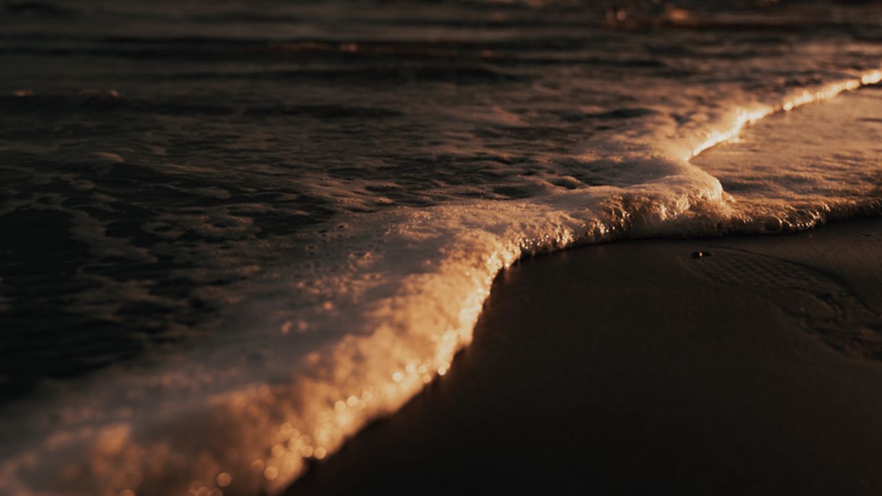 Wallpaper wave, foam, beach, sea