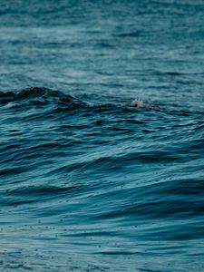 Preview wallpaper wave, water, ripples, wavy