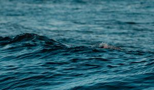 Preview wallpaper wave, water, ripples, wavy