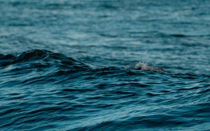 Preview wallpaper wave, water, ripples, wavy