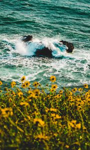 Preview wallpaper waves, flowers, splash, spray