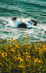 Preview wallpaper waves, flowers, splash, spray