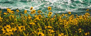 Preview wallpaper waves, flowers, splash, spray
