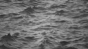 Preview wallpaper waves, ripples, bw, water