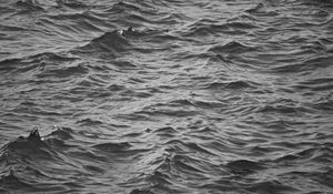 Preview wallpaper waves, ripples, bw, water