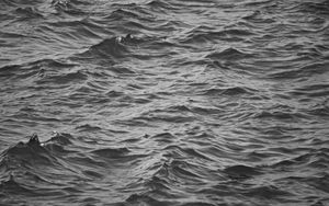 Preview wallpaper waves, ripples, bw, water