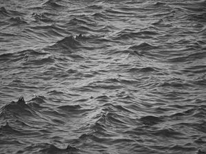 Preview wallpaper waves, ripples, bw, water