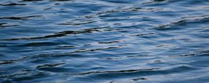 Preview wallpaper waves, ripples, water, surface, wavy