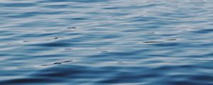 Preview wallpaper waves, ripples, water, surface