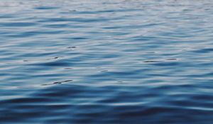 Preview wallpaper waves, ripples, water, surface