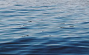 Preview wallpaper waves, ripples, water, surface