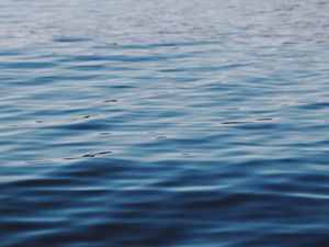 Preview wallpaper waves, ripples, water, surface