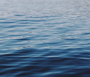 Preview wallpaper waves, ripples, water, surface