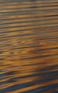 Preview wallpaper waves, ripples, water, surface, reflection