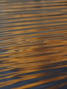 Preview wallpaper waves, ripples, water, surface, reflection