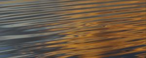 Preview wallpaper waves, ripples, water, surface, reflection