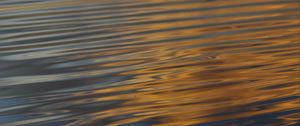 Preview wallpaper waves, ripples, water, surface, reflection